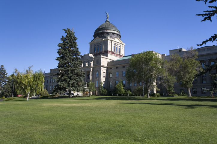 State-Capitol-green-grass.jpg